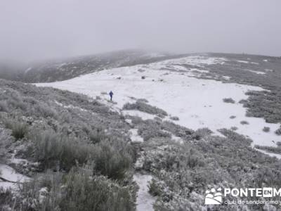 Hayedo de Pedrosa - Parque Natural Sierra Norte de Guadalajara - Hayedo de Tejera Negra